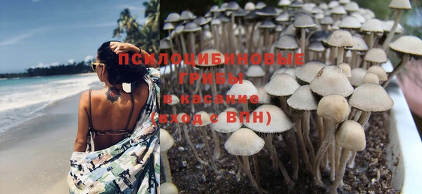дживик Тихвин