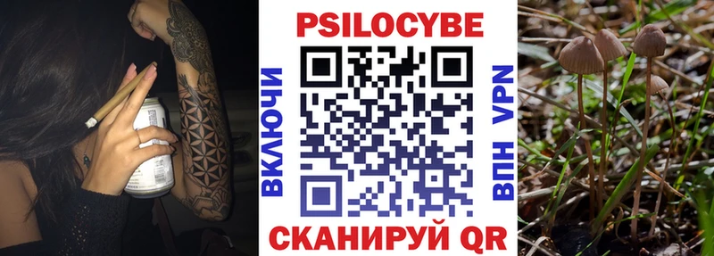 Галлюциногенные грибы мицелий  Шенкурск 